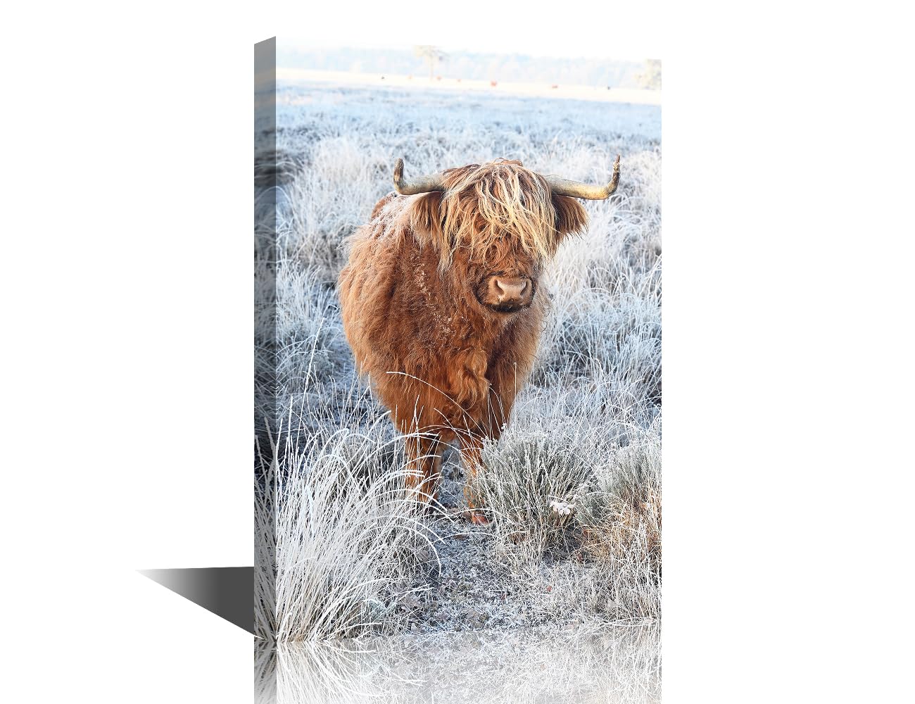 Animal Wall Art Living Room Scottish Highland Cattle Posters for Room Aesthetic Snow Scenery Bedroom Wall Decor Modern Artwork Posters and Prints Stretched and Framed Ready to Hang (12"Wx18"H)