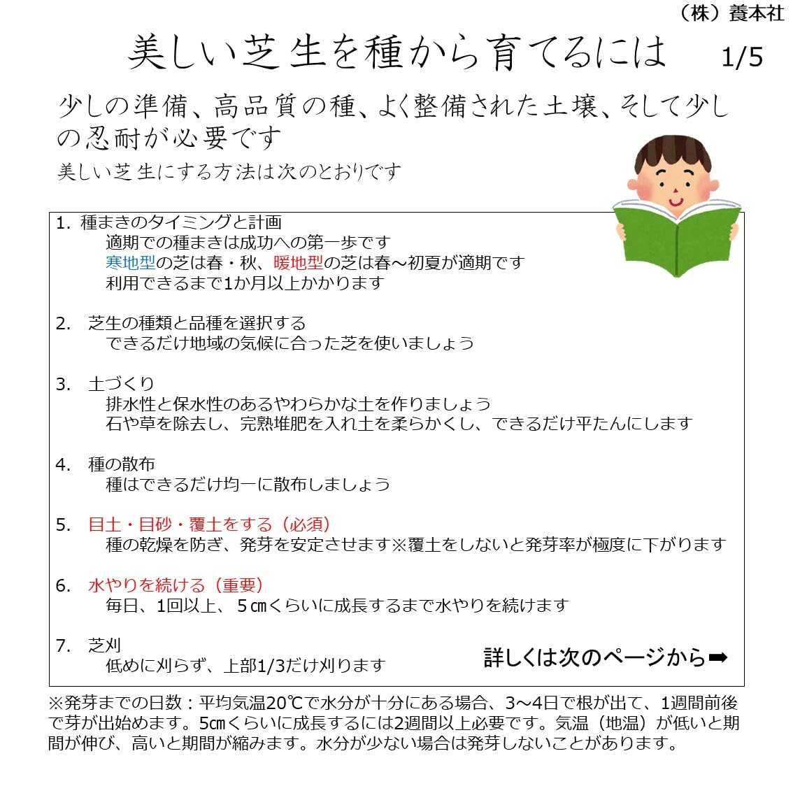 Amazon.co.jp: ノシバ種子 品種名：コンパドレ 1kg（500g×2袋） : DIY