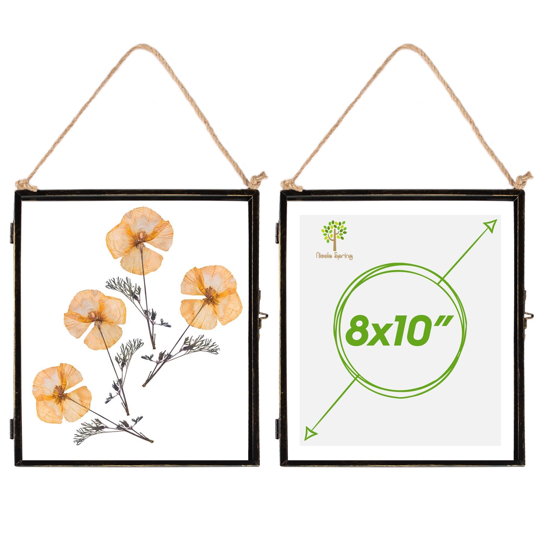 Nicola Spring Metal Photo Frames - Fits Photo Size 8 x 10 (20 x 25cm) - Pack of 2 - Black Picture Frame Portrait Orientation Freestanding Square Certificate Display Poster Case