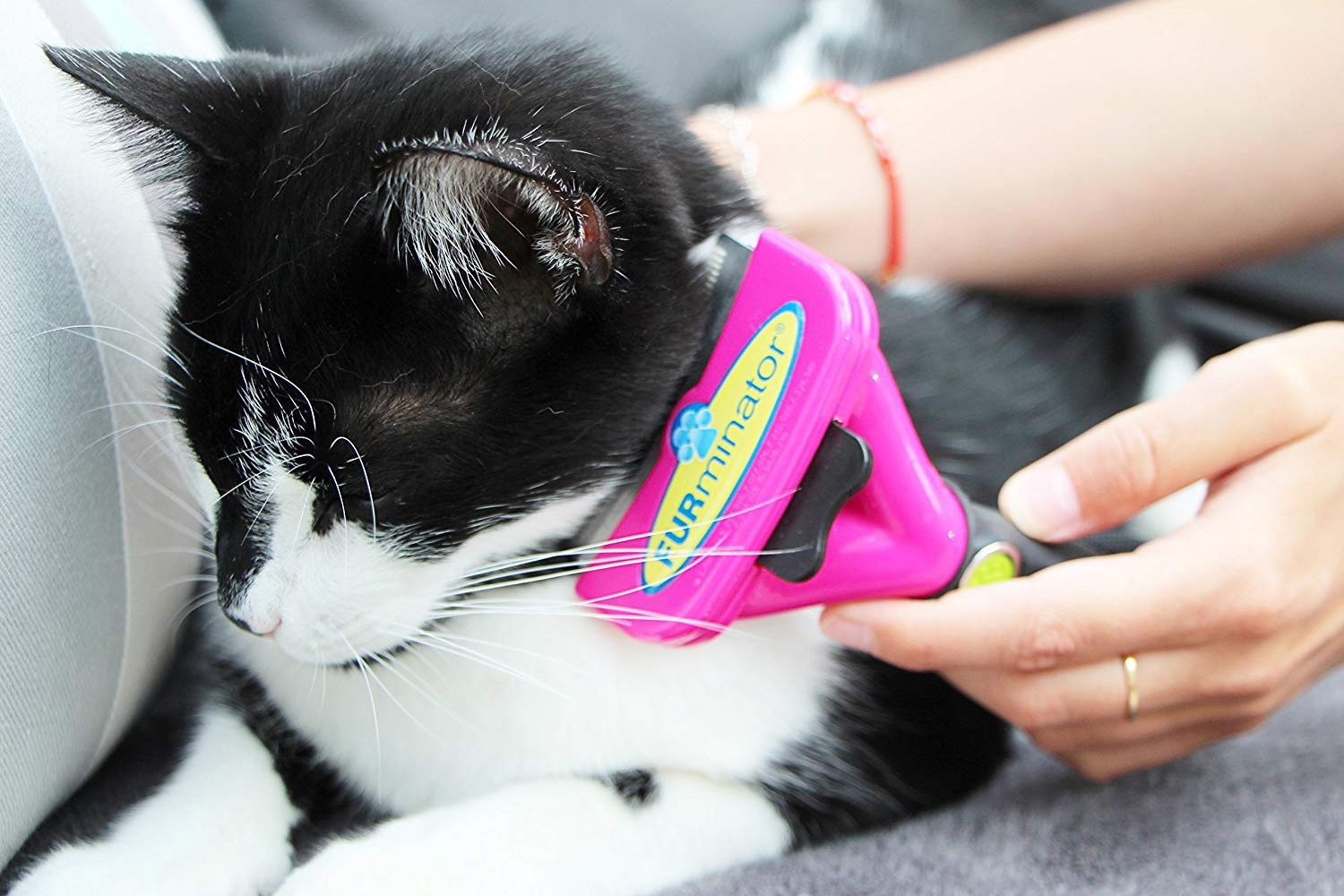 FURminator FURflex szczotka do pielęgnacji sierści dla małych kotów, narzędzie deShedding do usuwania podwełny, rozmiar S