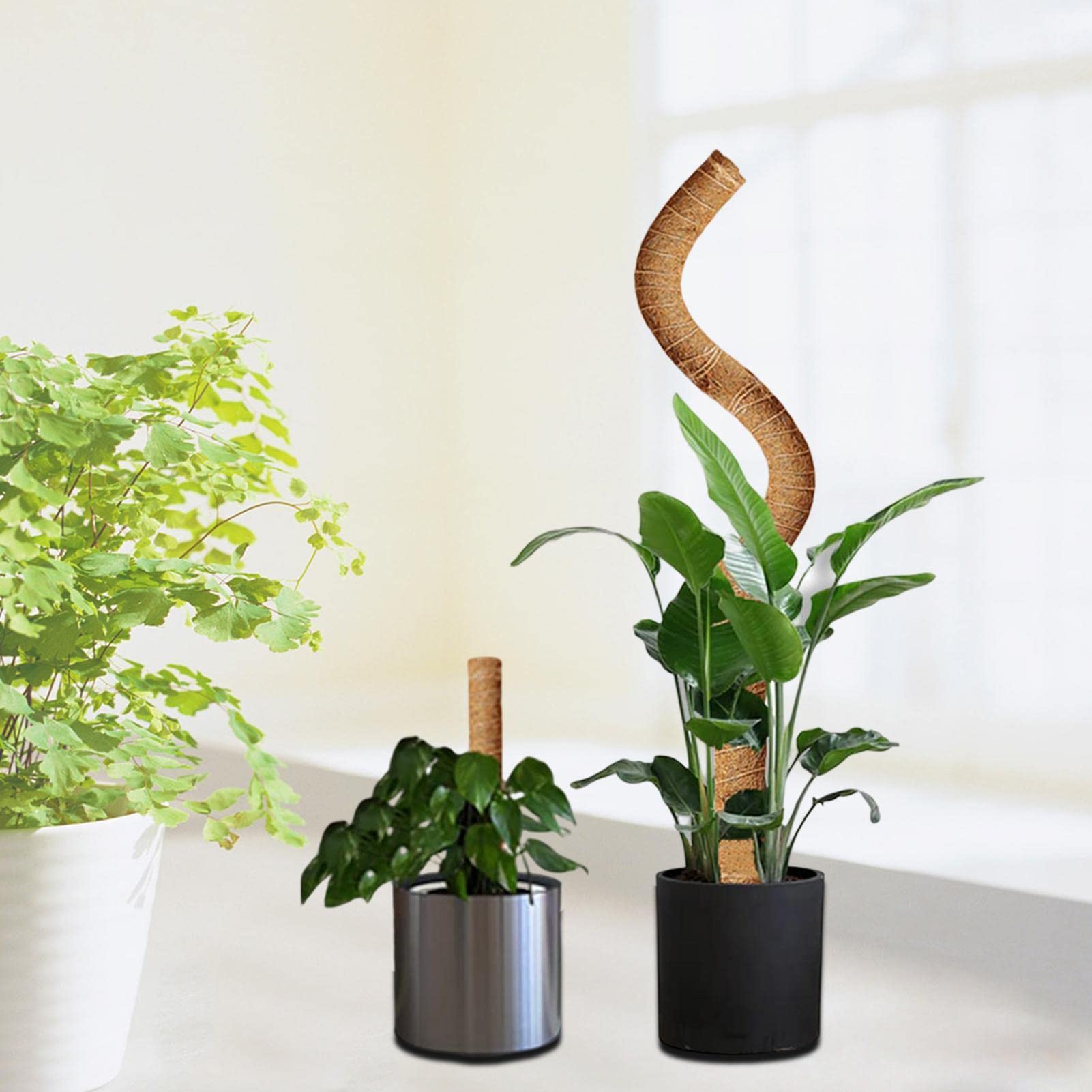 Interface de Stake casino