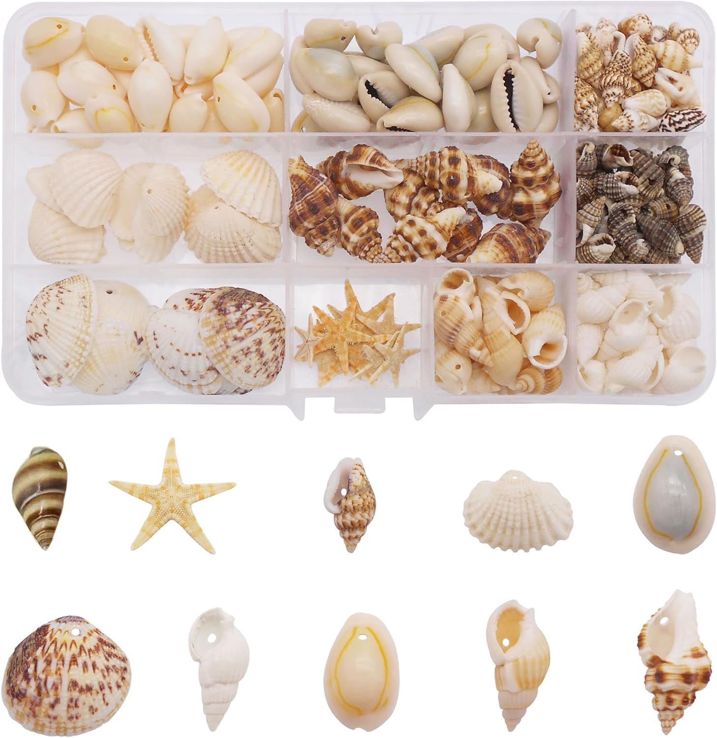yaokan 10 Styles Natural Sea Shells & Starfish Set - Assorted Pre-Drilled Beach Seashells for DIY Crafts, Home Decor, Jewelry Making & Wedding Party Decorations