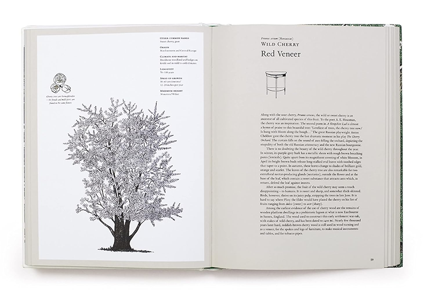 The Story of Trees: And How They Changed the World