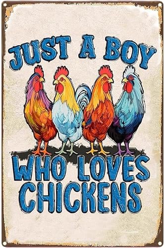 Just A Boy Who Loves Chickens Colorful Rooster Tin Sign