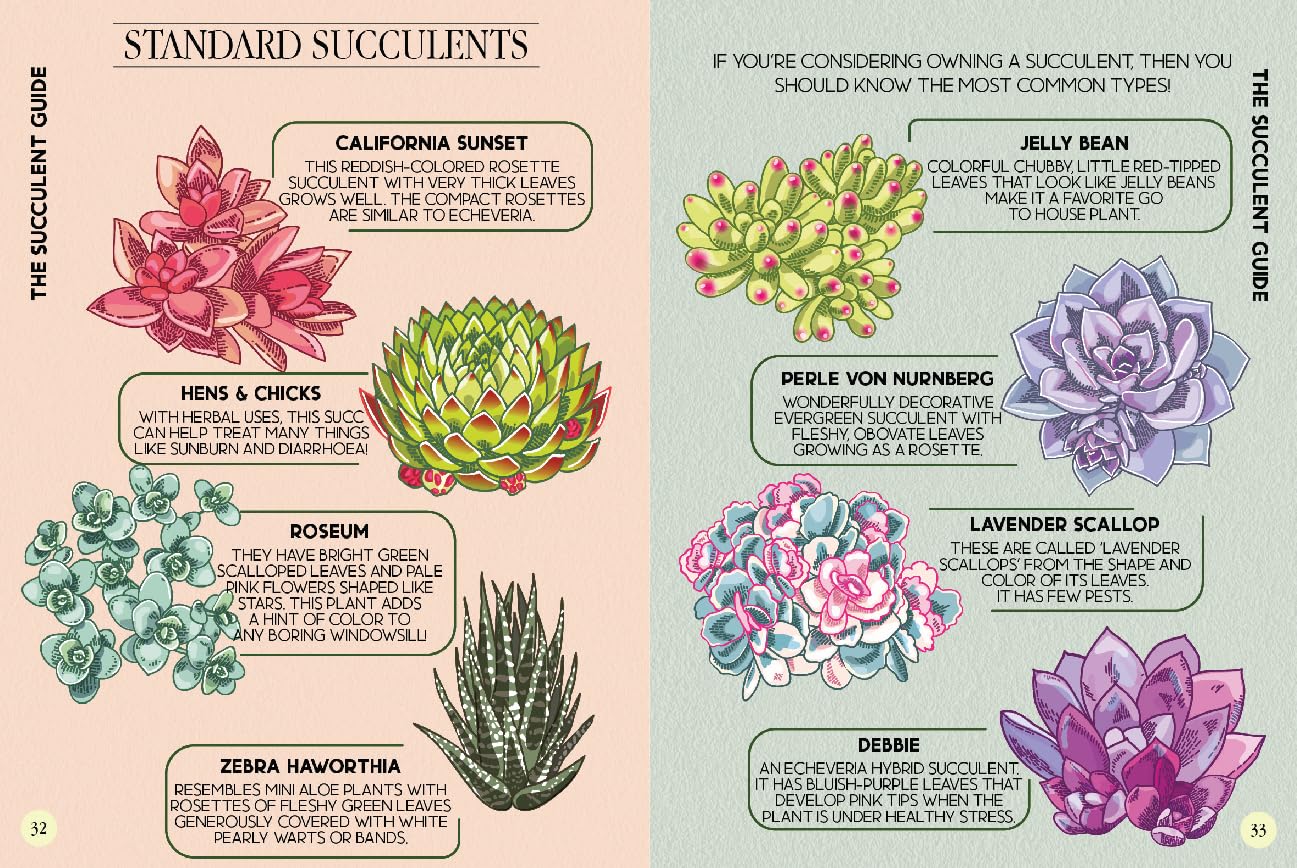 Houseplant Survival Guide - Tips and Tricks for Keeping Your Plants Alive