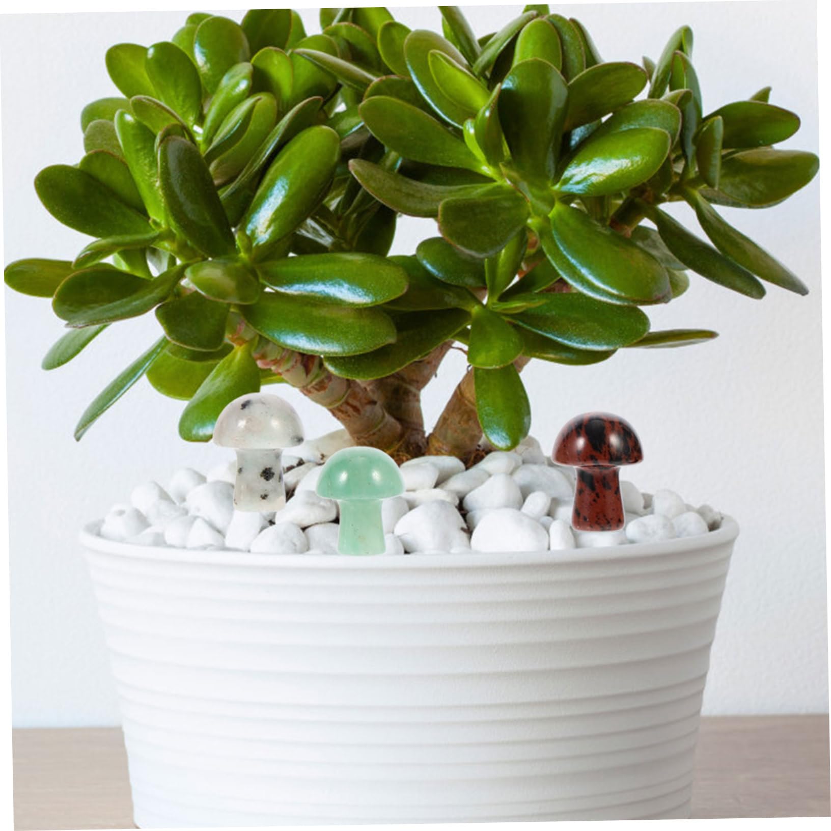 Yardwe 50stücke Teiliges Dekorative Kristall-pilzskulpturen Für Miniaturgärten Aquarien Und Tischdekoration Natürliche Farben Für Gartenliebhaber Und Kreative Deko-Fans