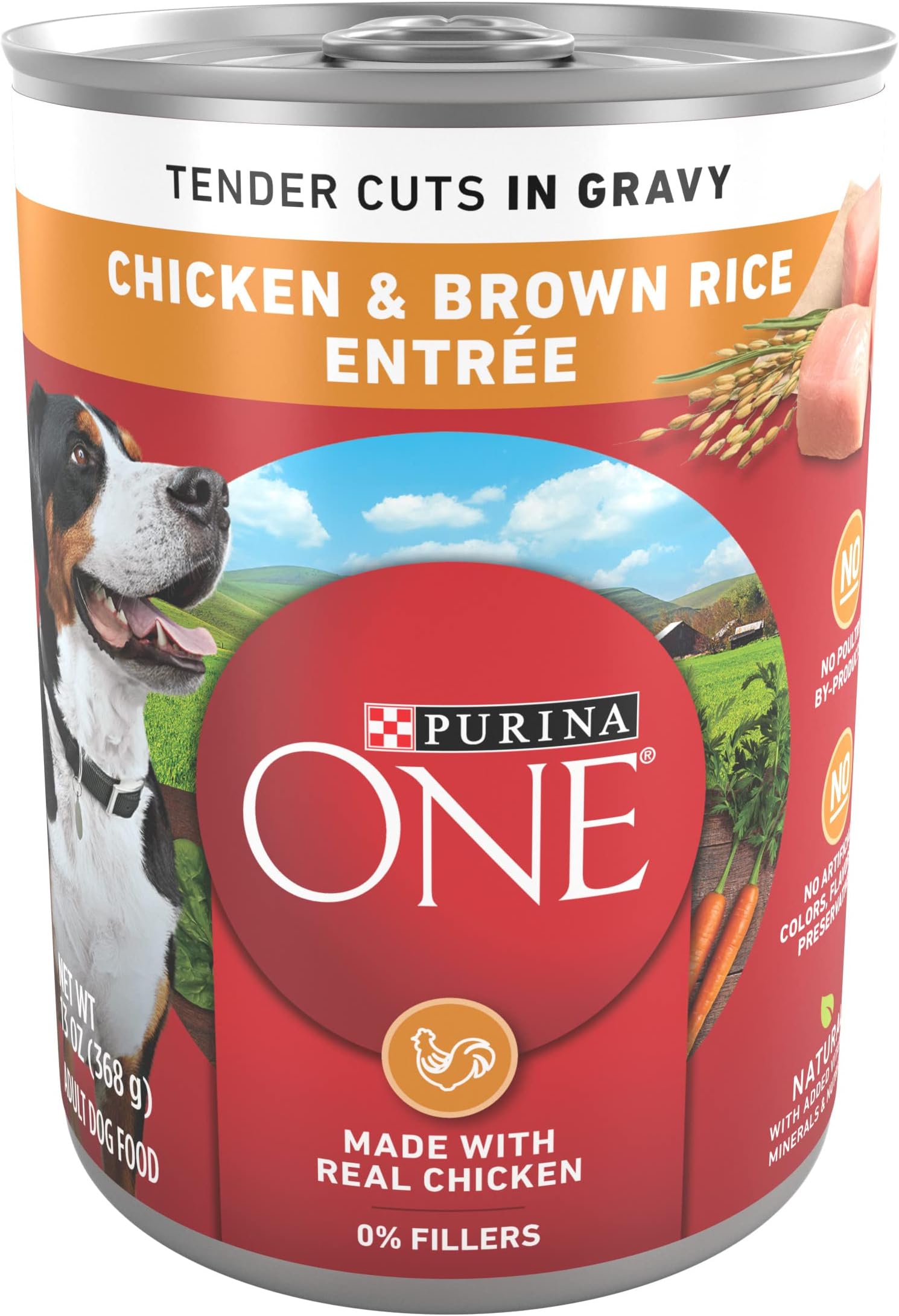 Purina ONE Tender Cuts Skin & Coat Wet Dog Food - Chicken & Brown Rice Recipe, 13 Oz Cans (Pack Of 12)
