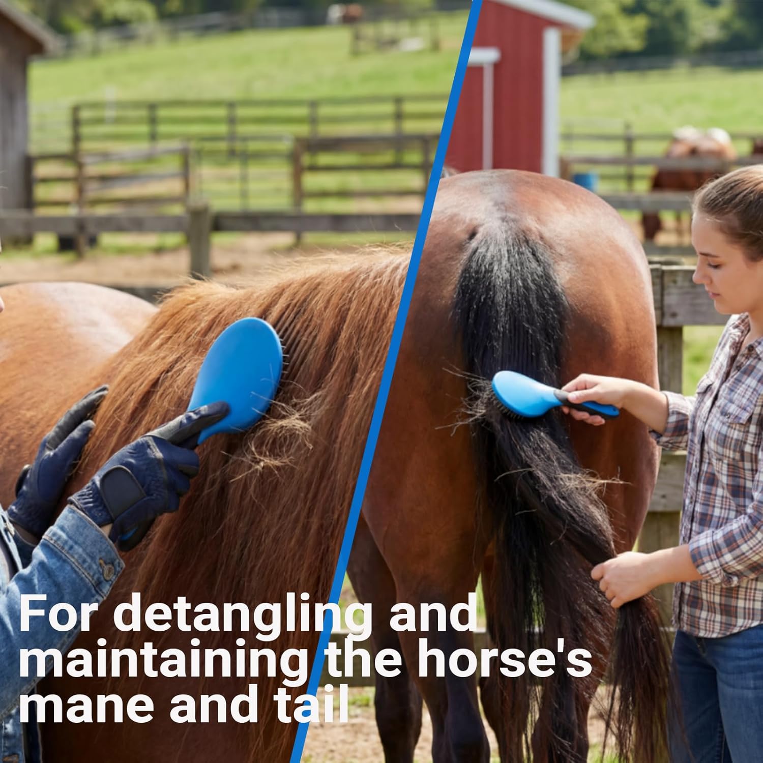 13 Piece Horse Grooming Kit, Horse Brushes for Grooming Supplies with Portable Bag, Horse Brush Set & Curry Comb for Effective Bathing and Massaging, Gift for Horses Riders Beginners (Blue)