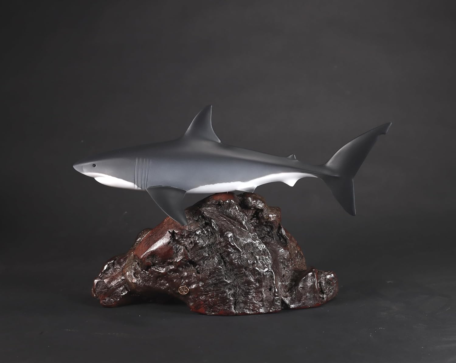 Great White Shark Sculpture by John Perry 15in Long Airbrushed on Polished Burlwood Base. Signed