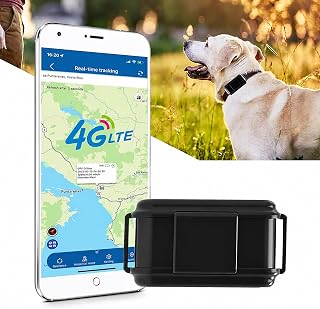 4G Mascotas