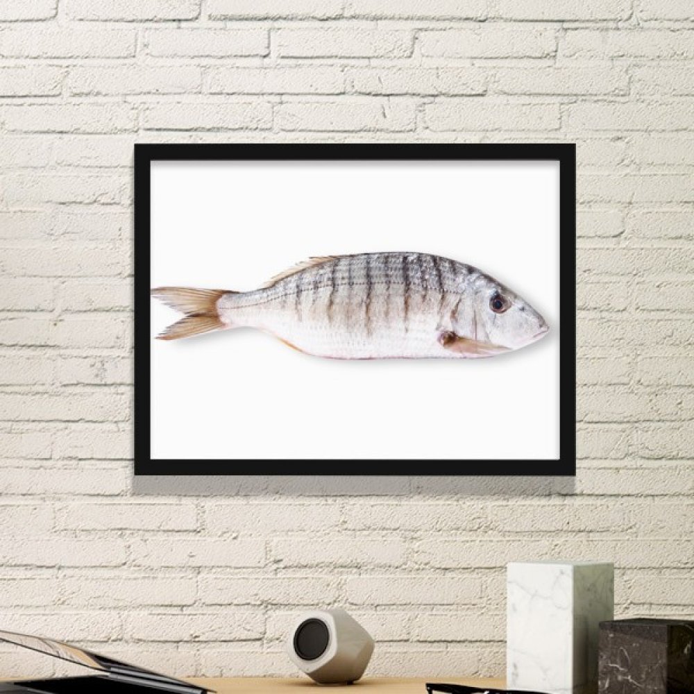 Peinture poisson océan DIYthinker avec petit cadre noir et estampe murale