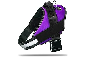 No Pull Dog Harness with Enhanced Grip Safety Features for Unforgettable Walks