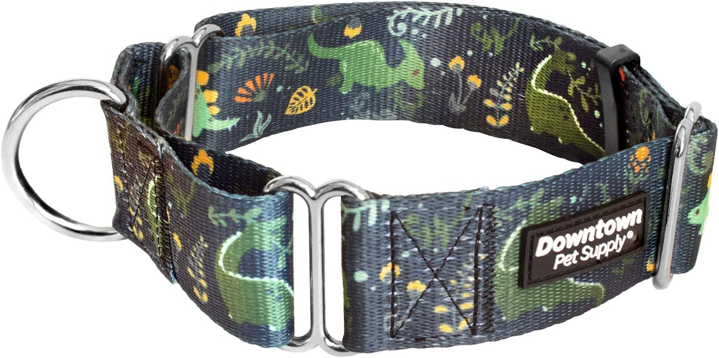 Downtown Pet Supply - Martingale Collar for Dogs - Dog Training Collar - Big, Wide & Thick Dog Collar - Escape-Proof, Weatherproof, Durable and Comfortable - Dino - Large Dog Collar