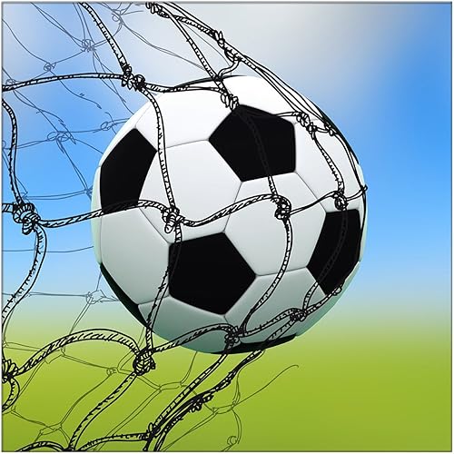 Manta de fútbol de 60 x 80 pulgadas, cómoda, cálida, suave, para sofá, red de fútbol