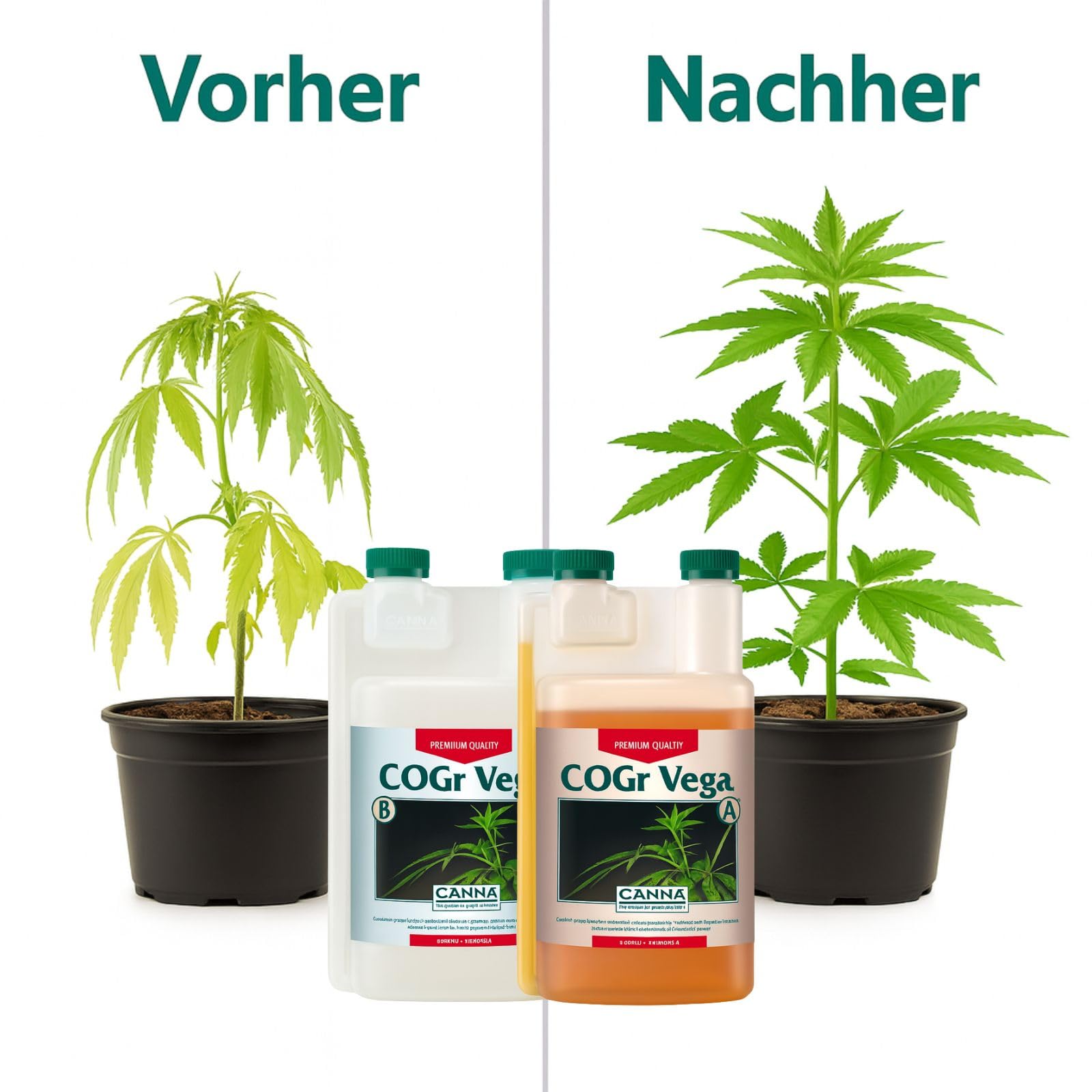 Weedness Canna COGr Vega A&B 5 litrów - nawóz do hydrokultury kokos substrat Coco Grow uprawa do wnętrz