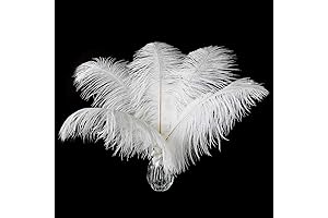 24Pcs Large White Ostrich Feathers Enhance Your Decorations