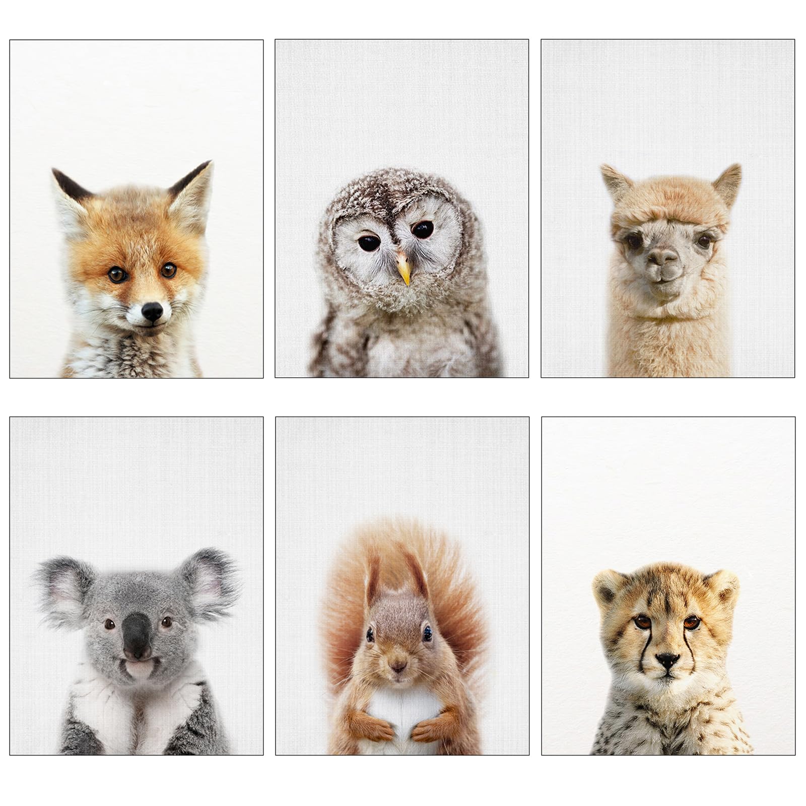 Bonhoom Children's Room Decoration Forest Animals Poster Baby Room, Set of 6 Children's Room Wall Decoration