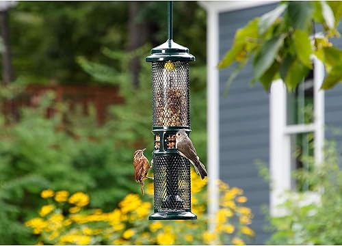 Miniatura 7 de Squirrel Buster Alimentador de nueces a prueba de ardillas para pájaros para nueces y frutas, dos mallas