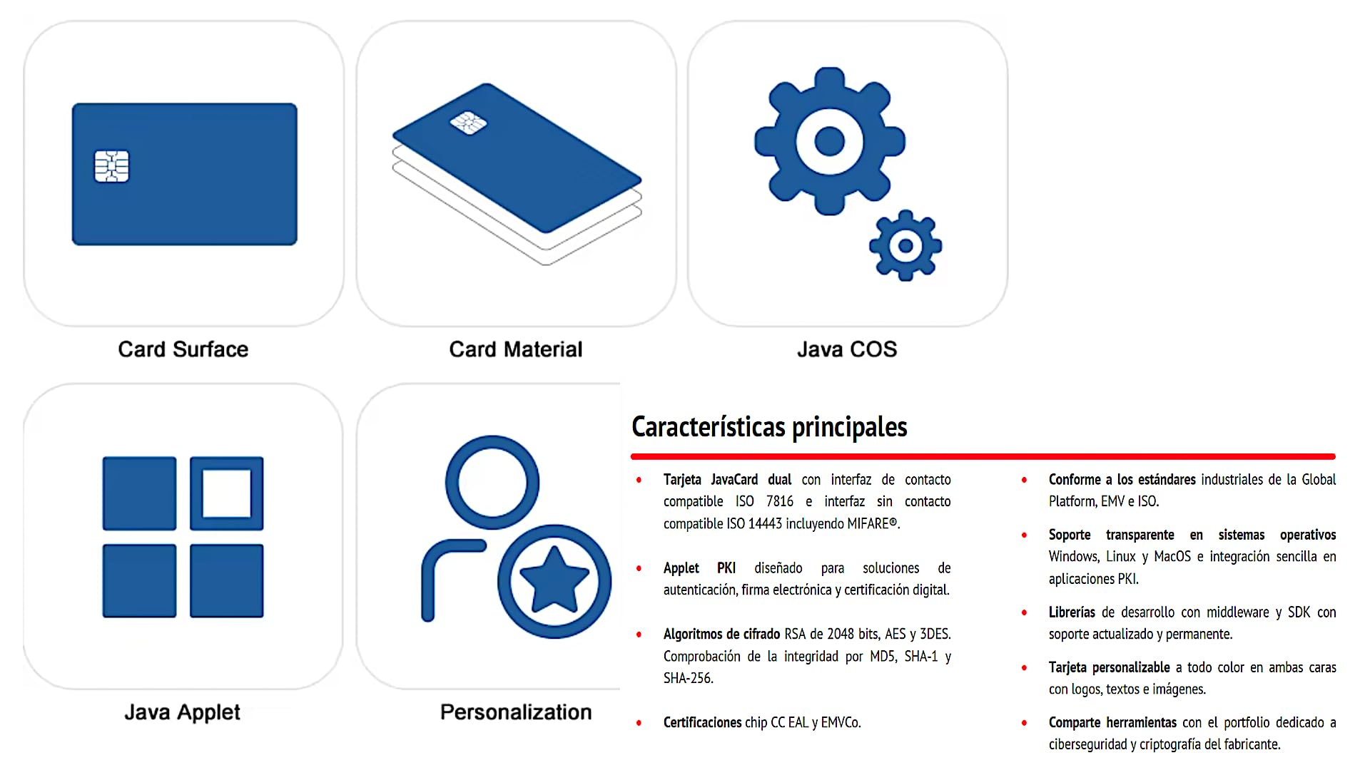 Tarjeta Criptográfica para Certificado Digital PassKey® FirmaKit con programas de Gestión de certificados Usuario y Administrador para Windows 10/11. Capacidad de 5 certificados de 2048 bits. — view 5