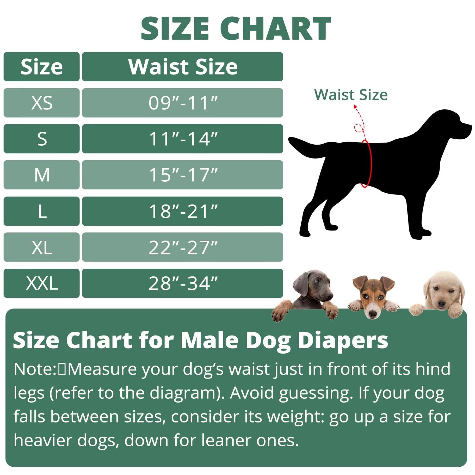 Paw Legend Waschbare Hundewindeln, Bauchbänder für männliche Hunde, Wiederverwendbare Windeln für Welpen und Hunde, 5 Stück, Größe XL