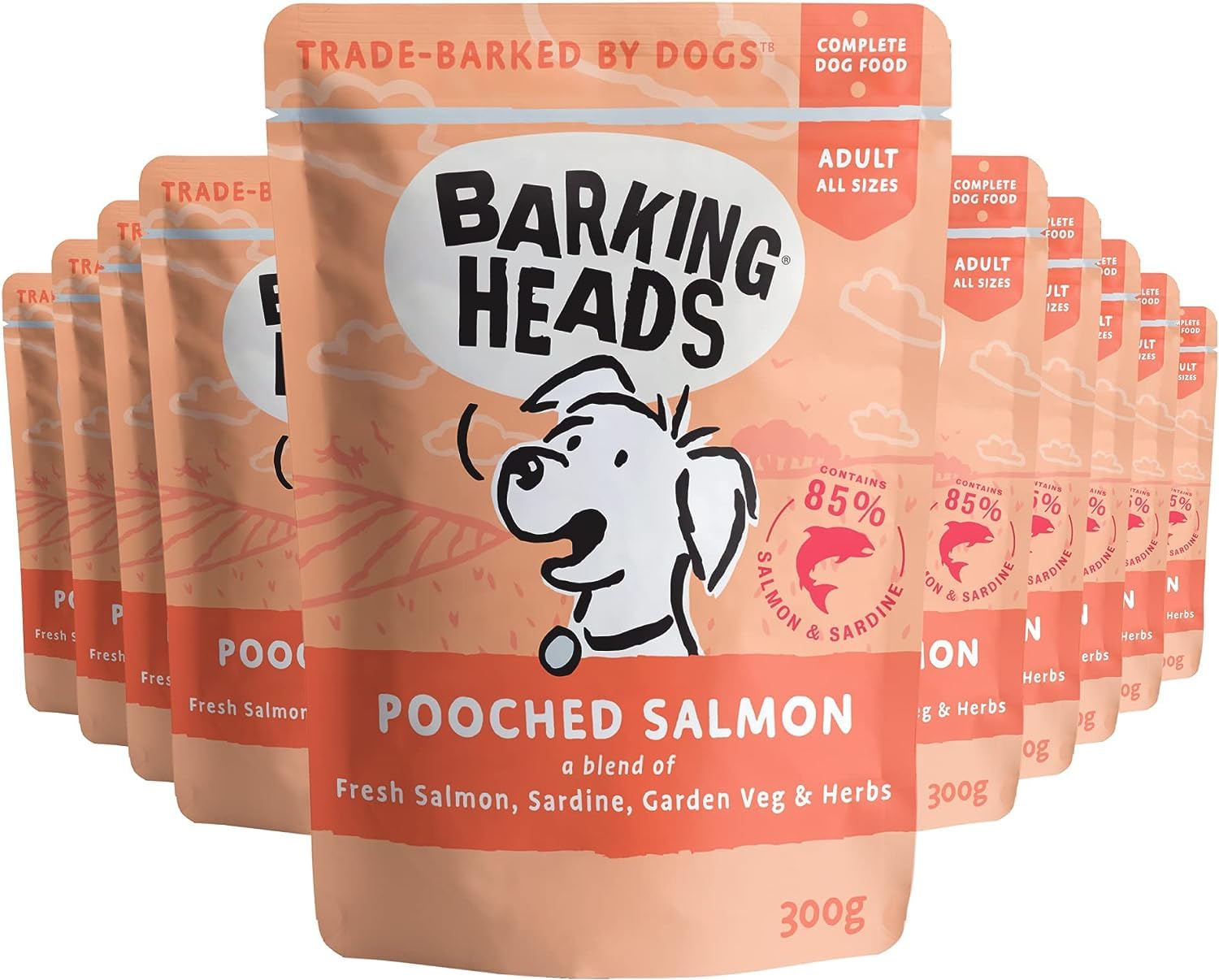 Barking Heads Wet Dog Food - Pooched Salmon - Salmon & Sardine - No Artificial Flavours - Grain-Free Recipe (10 x 300 g)