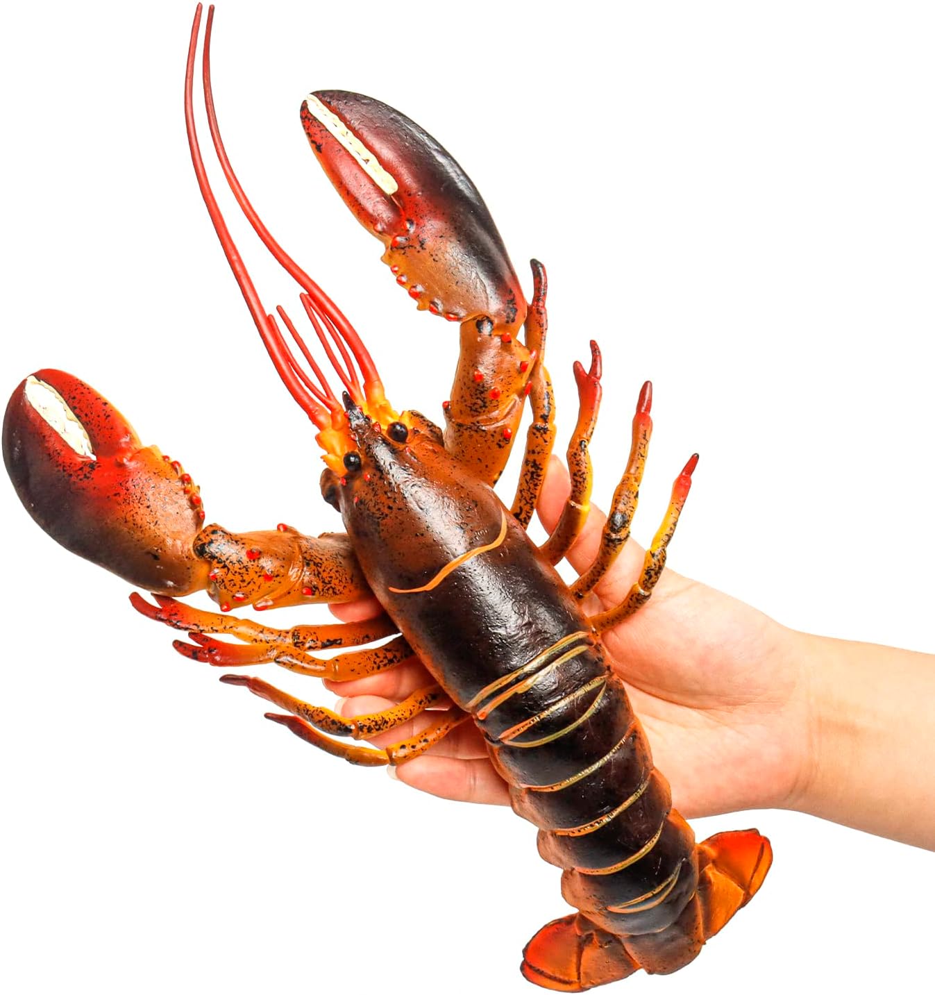 Safari Ltd Spiny Lobster Toy Figure - 12.5 Inch Hand-Painted Marine Animal Model