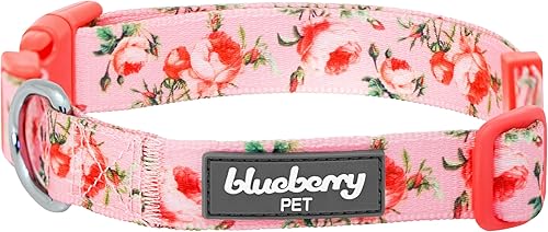 Blueberry Pet 10 Patrones Primavera Aroma Floral Collares Collares Personalizados