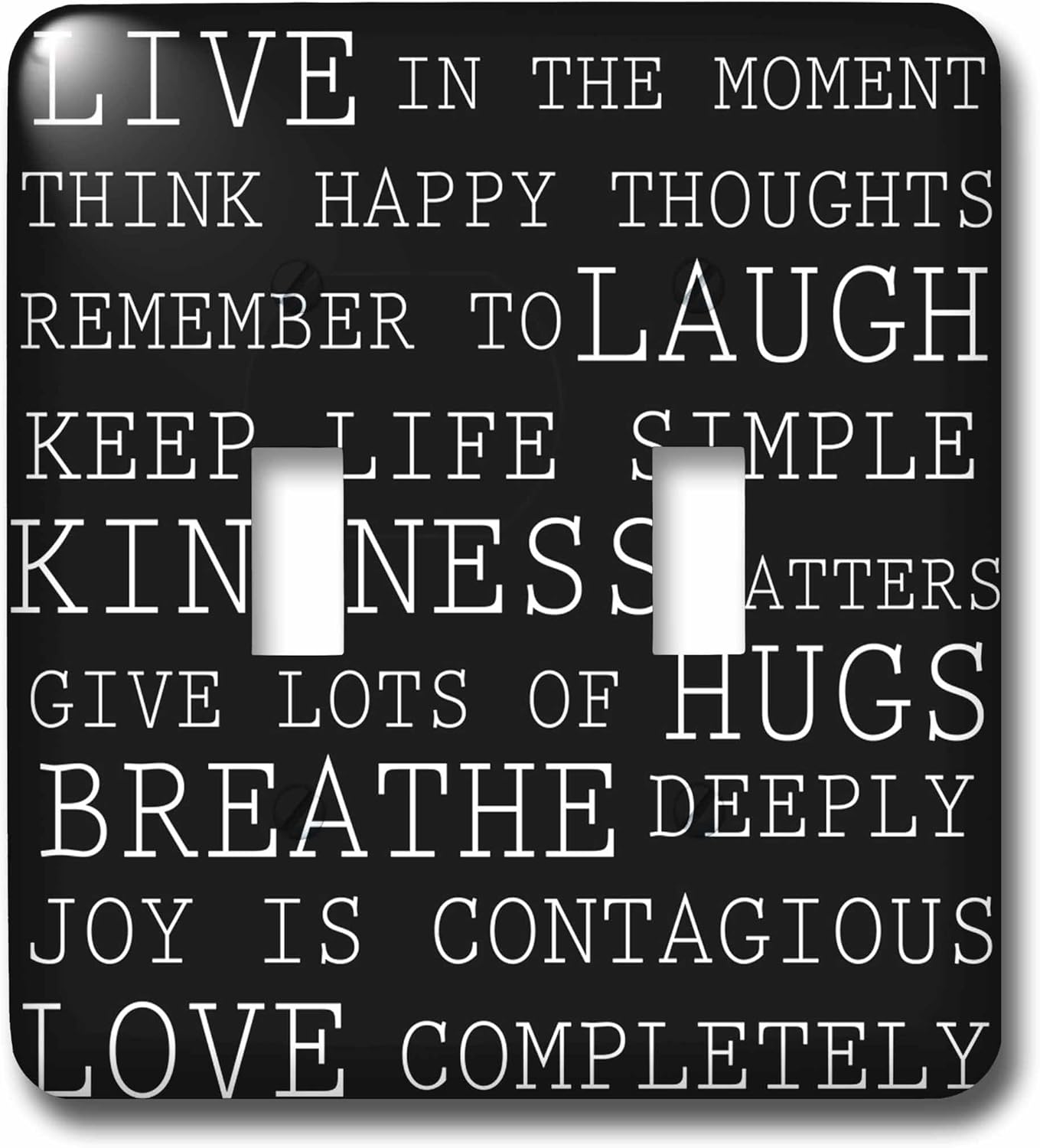 3dRose lsp_164536_2 Live in the Moment Black and White Inspirational Typography Double Toggle Switch