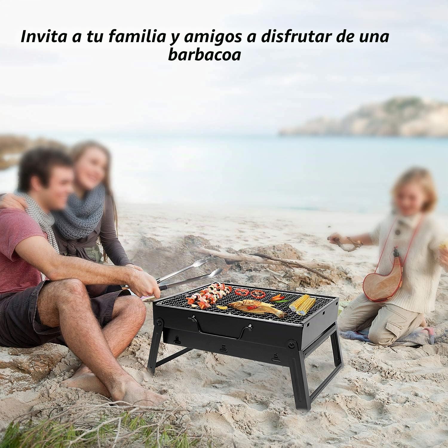 Barbacoa plegable de carbón o madera, para camping o viaje, Schwarz NR.1