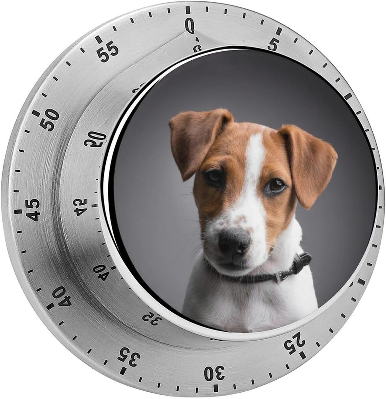 Jack Russell Terrier Portrait Kitchen Timer Reusable Cooking Timer Boiled Egg Timer Alarm Clock Funny Gifts