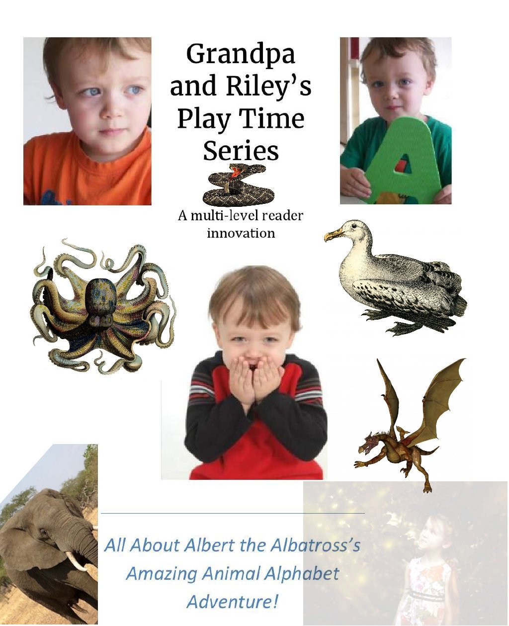 Amazon.com: All About Albert the Albatross's Amazing Animal Alphabet ...