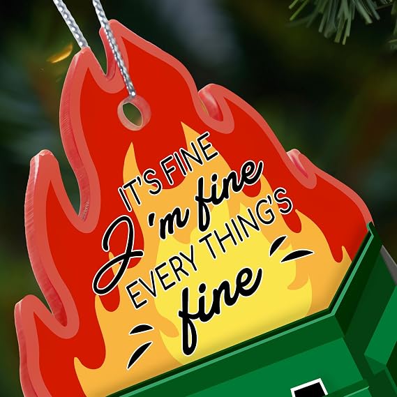 Funny Dumpster Fire Christmas Ornament 2025, Everythings Fine Holiday Decoration, Emotional Support Dumpster Fire Gifts for Men and Women, Funny Christmas Ornament 2025