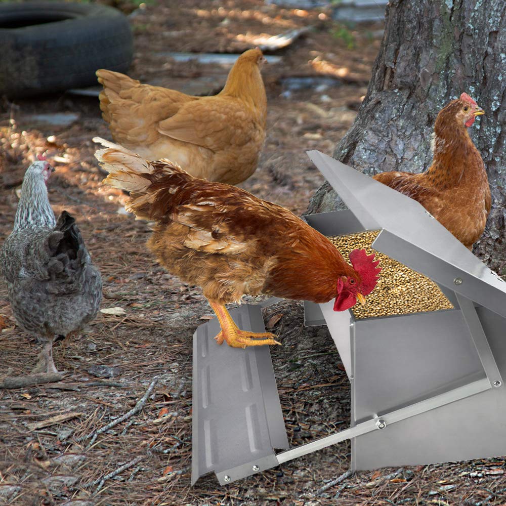 LZQ Mangiatoia automatica per pollame, 5 kg, automatica per pollame, in alluminio di grande capacità, anti-roditori, impermeabile e antiruggine (4 confezioni)