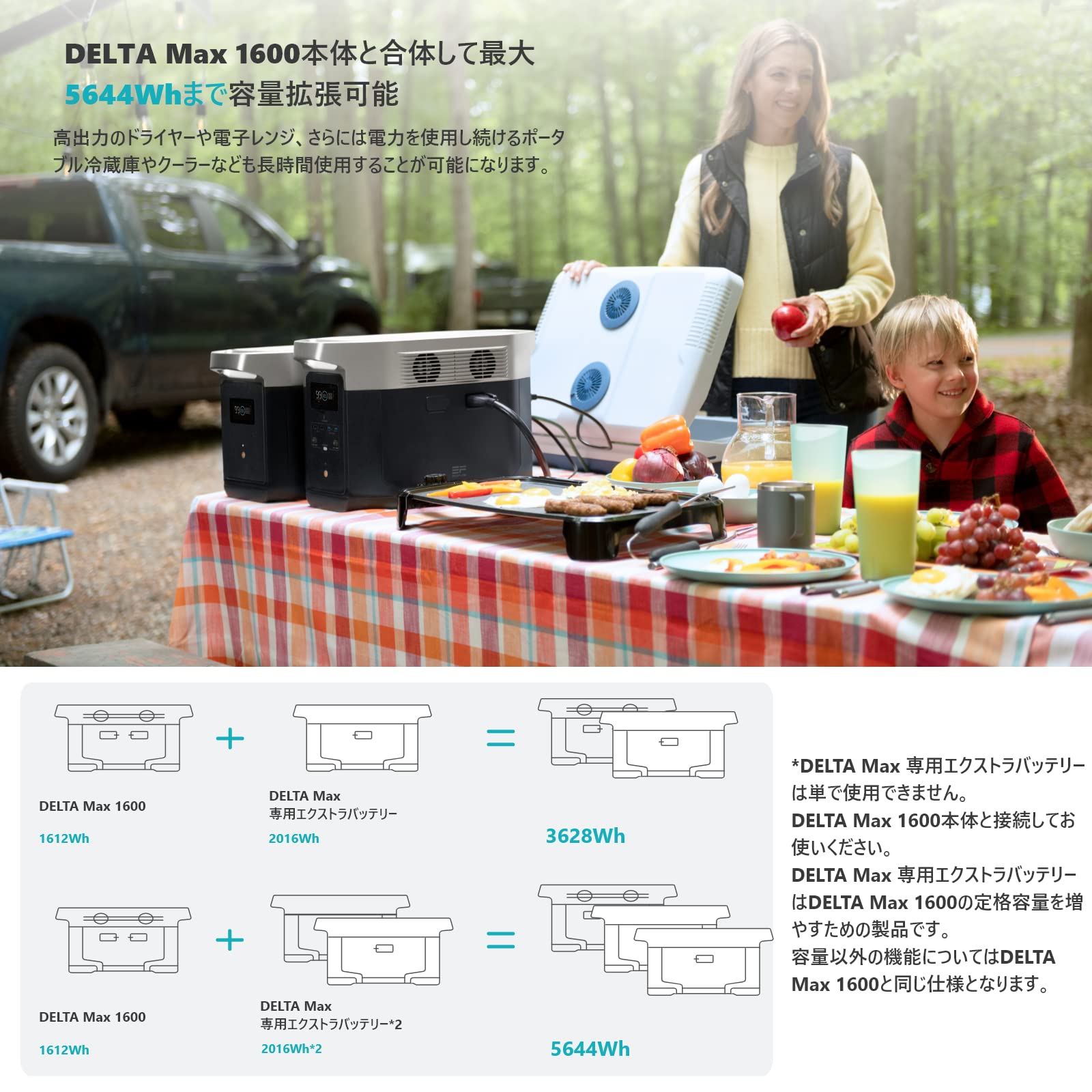 Amazon.co.jp: EcoFlow DELTA Max エクストラバッテリー DELTA Max専用 