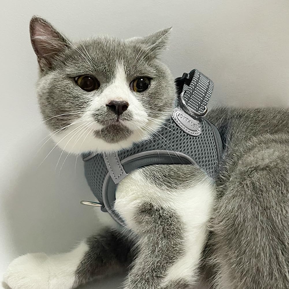 Joytale Step in Dog Harness,Soft Mesh Reflective Breathable Vest Harnesses,Easy Walk Harness with Safety Buckle for Cat and Puppies Dogs,XXXS,Gray - Image 2