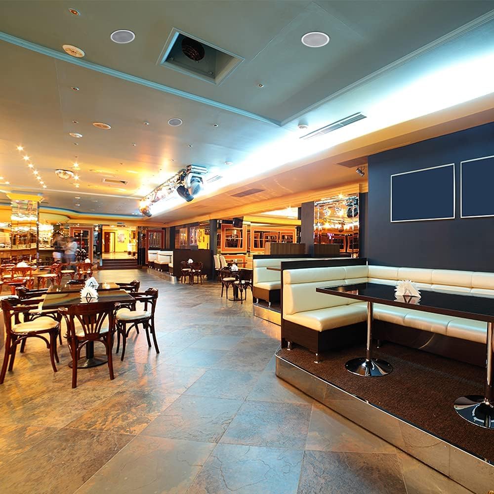 Power Dynamics CSPB8 Haut-Parleur de Plafond 100V 15W, Enceinte Encastrable 8", Audio Commercial Haute Qualité, Installation Simple, Idéal Restaurants, Magasins, Espaces Publics