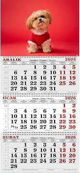 2026 Y l  Gemici Takvimi, Noel K yafetli Shih Tzu