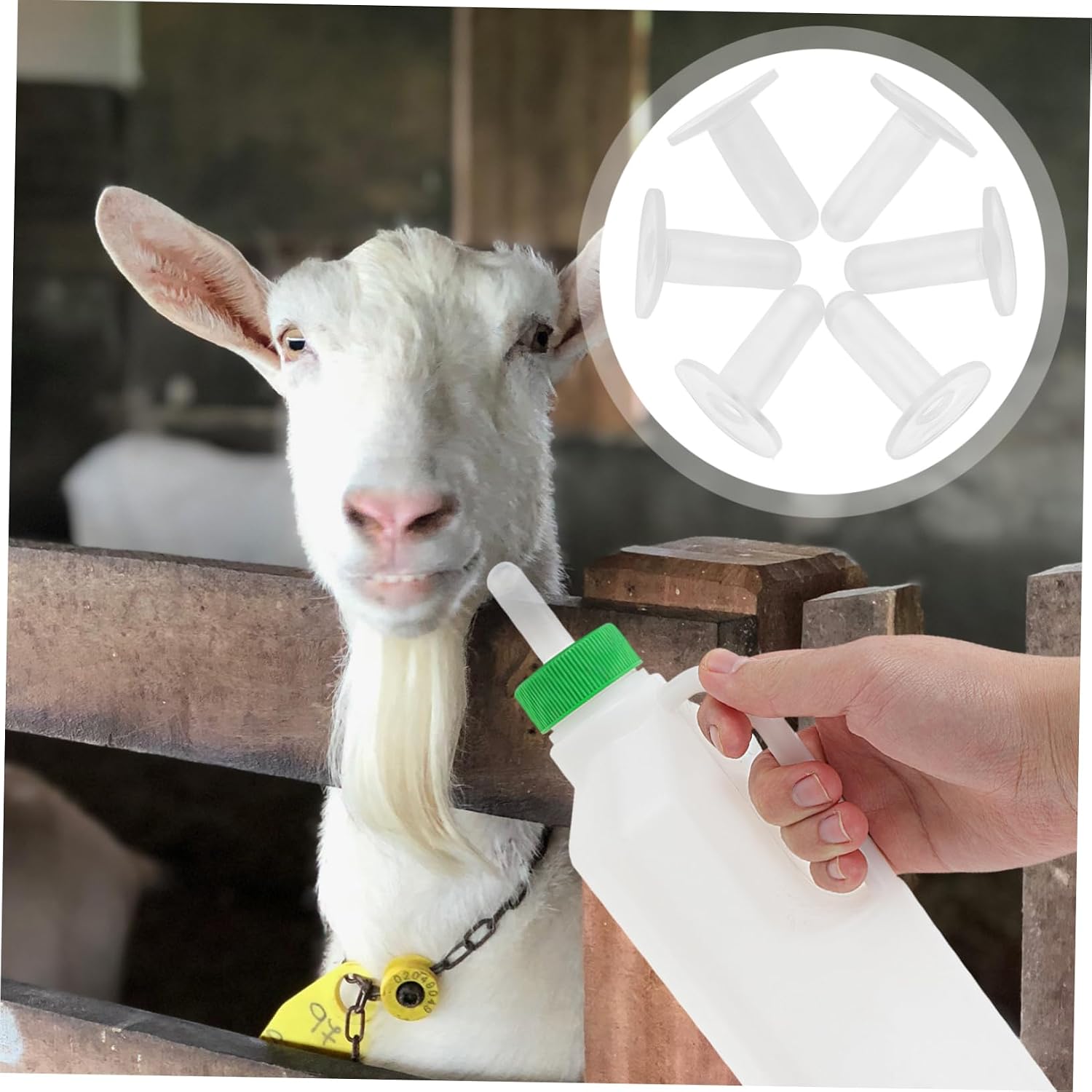 Kisangel 6pcs Lamb Feeding Nipples for Nursing Bottles Bite Pacifier for Sheep and Goat Milk Feeding Lightweight and Easy to Install Compatible with Goat Bottles