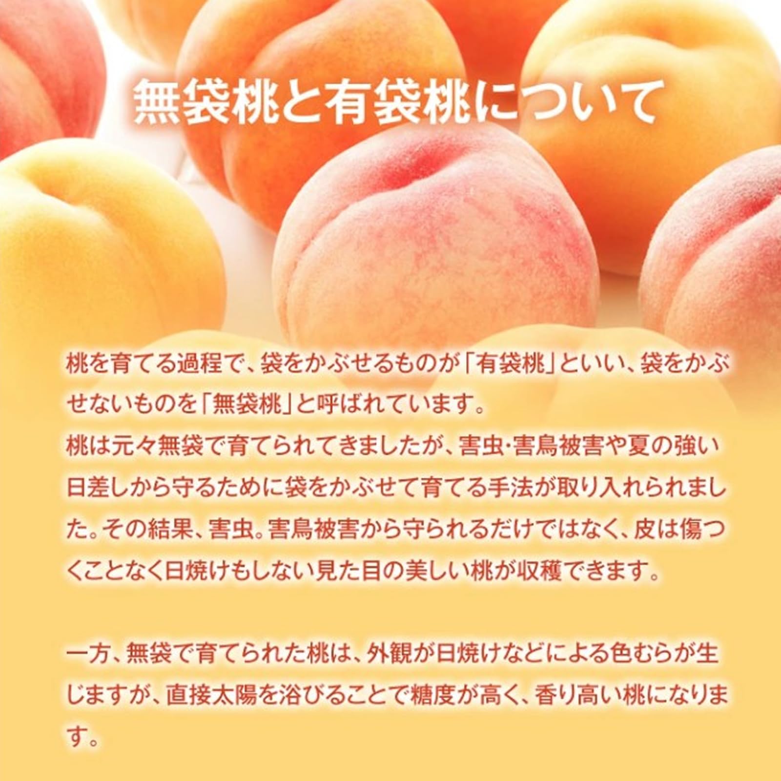 Amazon.co.jp: ジェイエイてんどうフーズ ご自宅用 訳あり 桃 黄桃 約