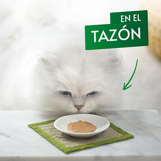 Foto 5 de 7 de Gourmet Nature's Creations - Snack para gatos adultos Purina Gourmet Nature's Creations puré con salmón 5 x…