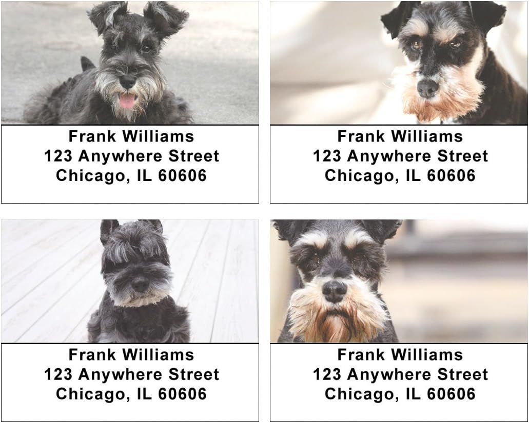 Cute Miniature Schnauzers Address Labels