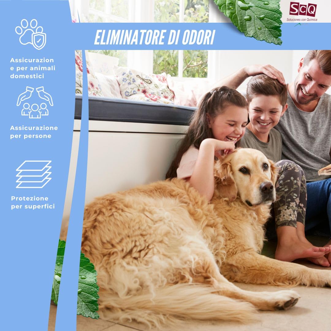 Eliminatore di odori per animali domestici istantaneo BIOLORMX 500ml | Neutralizzatore enzimatico di odori per cani e gatti | Anti-odori per cani e gatti | Rimuovi odori microbiologico per animali dom