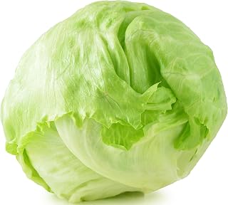 RDR Seeds 500 Iceberg Lettuce Seeds - Heirloom Non-GMO USA Grown Crisphead Lettuce for Home Garden Salads