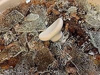 Review Image by Cheryl Racioppi Cheryl Racioppi