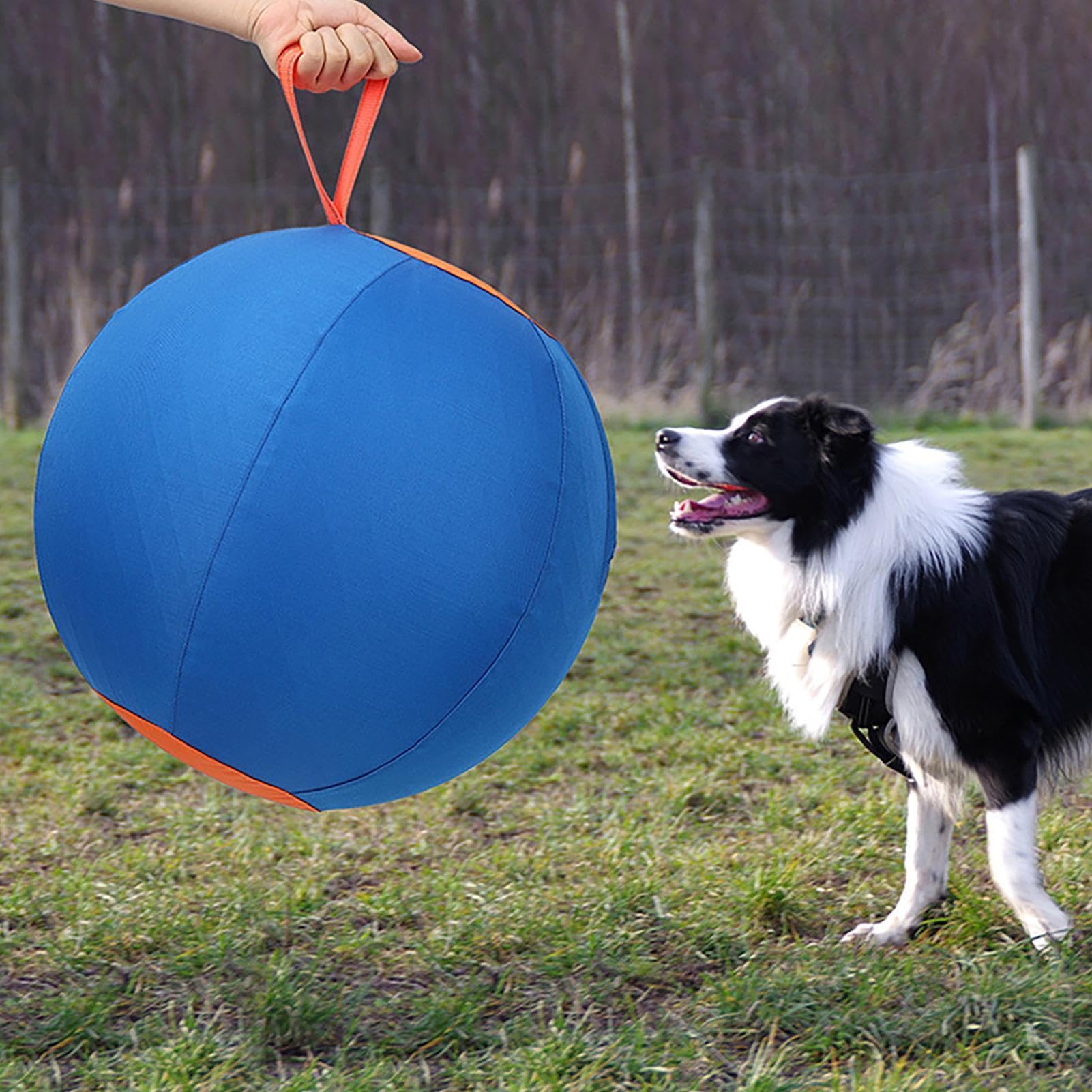 Piłka pasterska dla psów, piłki dla psów, zabawki dla psów 45 cm z