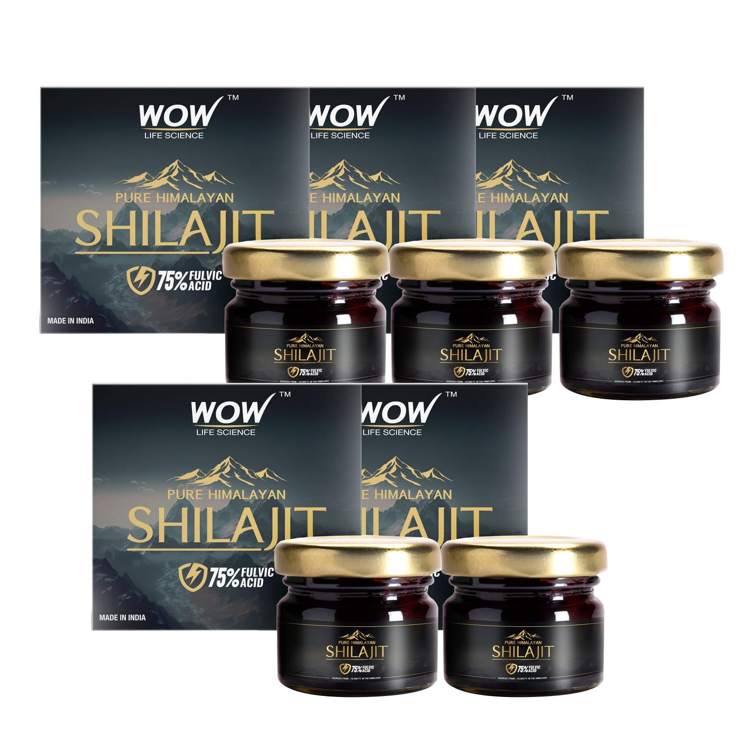 WOW Life Science Pure Himalayan Shilajit/Shilajeet Resin - 20g | Guaranteed 75%+ Fulvic Acid | Sourced from ~18,000 ft | For Stamina, Endurance & Strength | 100% Ayurvedic | Pack of 5