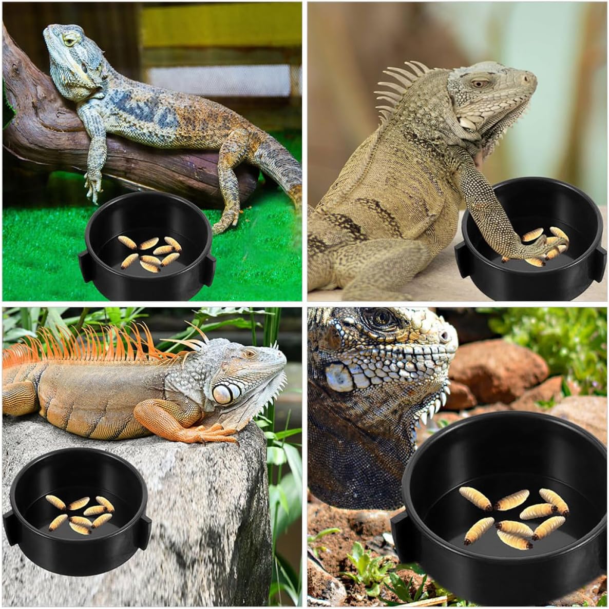Amosfun 4pcs Ceramic Reptile Food and Terrarium Water Bowls Multi-Function Lizard Feeding Dish for Bearded Dragon and Tortoise