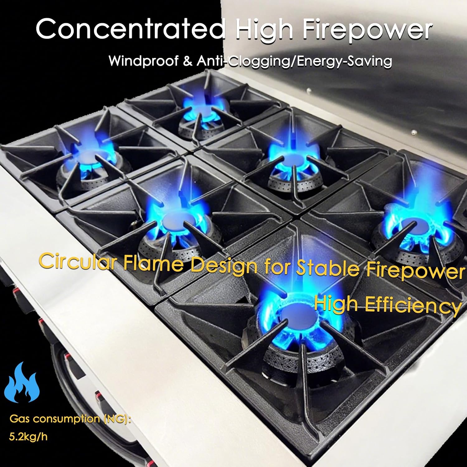 Commercial Gas Range 6 Burner with Standard Oven Heavy Duty Gas Hot Plate Stove Stainless Steel Restaurant Kitchen Equipment Claypot Cooking & Baking Oven, NG/LPG