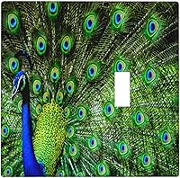 Vista 24 de Cubierta decorativa para toma de corriente de pavo real, cubierta de salida de 1 banda, cubierta de placa de interruptor de luz, placas