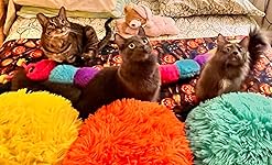 Review Image by ApacheStar ApacheStar